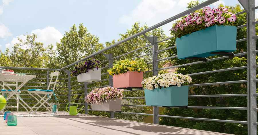 Planted Pots-Caspo BALCONERA Color 50 LECHUZA